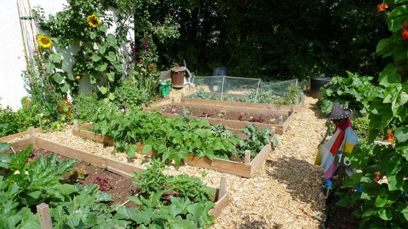 Abbotskerswell Allotments